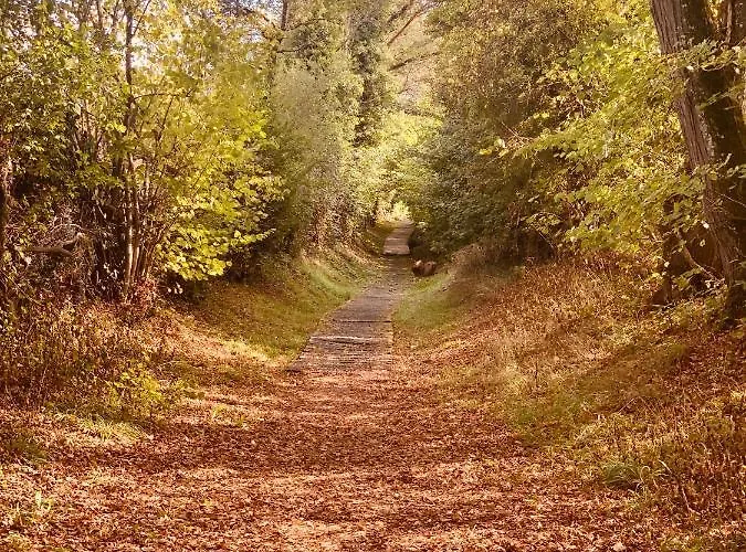 Salon Independant, Salle De Bain Wc Prives, Jardin Prive, Piscine Partagee Pres D'un Homestay *